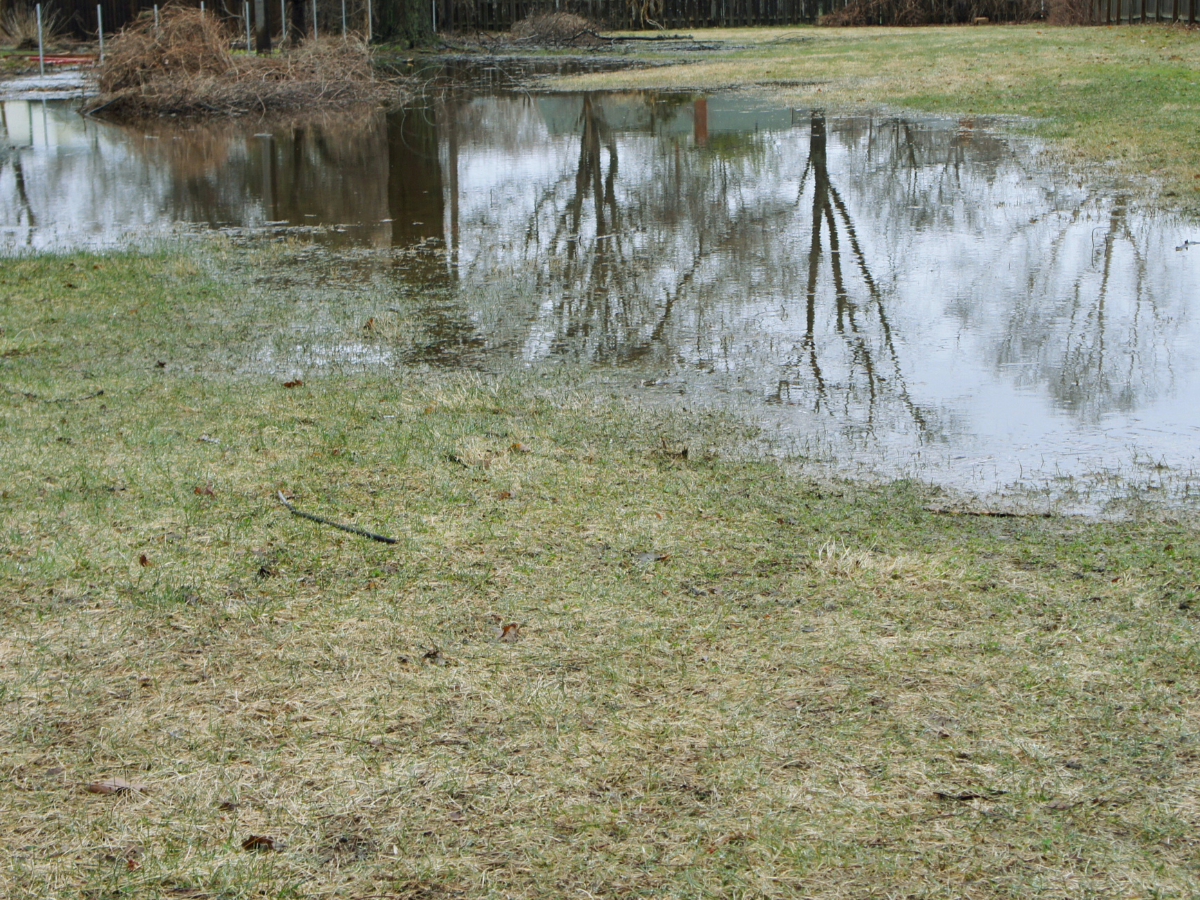 5 Signs Your Septic Field is Failing & How to Fix it